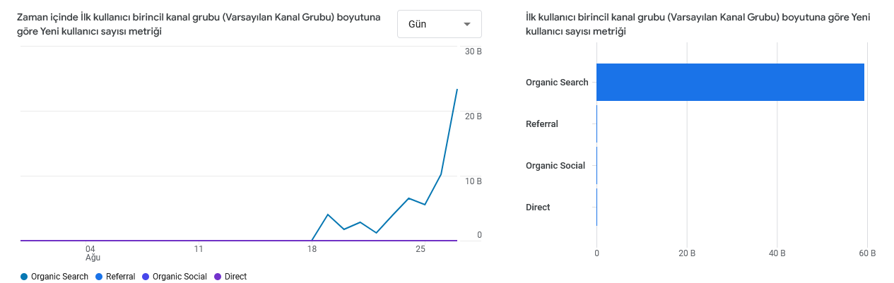 Screenshot-2024-08-28-at-22-33-45-Analytics-Kullanici-edinme-Ilk-kullanici-birincil-kanal-grubu-Varsayilan-Kanal-Grubu-1-1